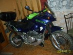 vadasz001