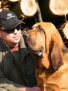Bloodhound