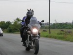 hawk68