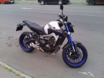 zolee166