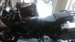 bAlex