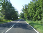 DSCF8165.jpg