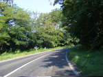 DSCF8166.jpg