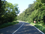 DSCF8167.jpg