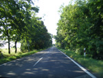 DSCF8170.jpg
