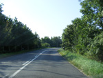 DSCF8171.jpg