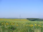 DSCF8172.jpg