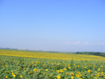 DSCF8174.jpg