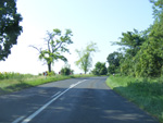 DSCF8179.jpg
