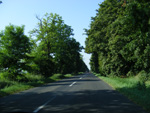 DSCF8181.jpg