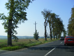 DSCF8185.jpg