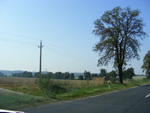 DSCF8187.jpg