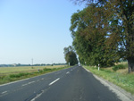 DSCF8188.jpg