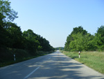 DSCF8191.jpg