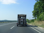 DSCF8210.jpg