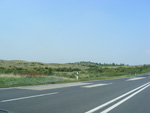 DSCF8219.jpg