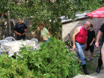 DSCF8236.jpg