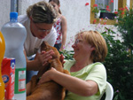 DSCF8245.jpg