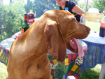 DSCF8250.jpg