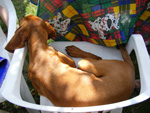 DSCF8253.jpg