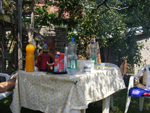 DSCF8262.jpg