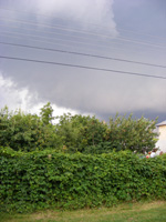 DSCF8281.jpg