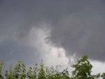 DSCF8283.jpg