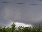 DSCF8286.jpg