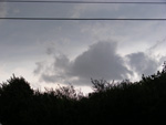 DSCF8288.jpg