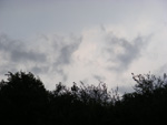 DSCF8291.jpg