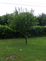 DSCF8296.jpg