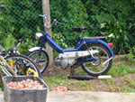 DSCF8298.jpg