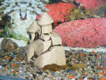DSCF8303.jpg