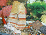 DSCF8304.jpg