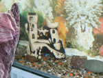 DSCF8305.jpg