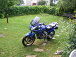 DSCF8320.jpg