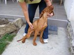 DSCF8609.jpg