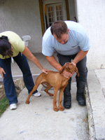 DSCF8611.jpg