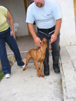 DSCF8612.jpg