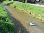 DSCF8635.jpg