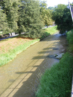 DSCF8636.jpg