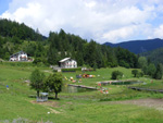 DSCF8685.jpg