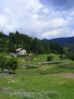 DSCF8686.jpg