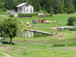 DSCF8692.jpg