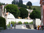 DSCF8713.jpg