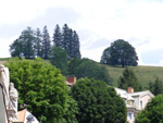 DSCF8721.jpg