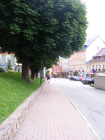 DSCF8754.jpg