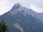 DSCF8772.jpg