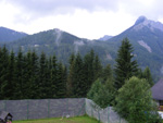 DSCF8775.jpg