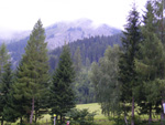DSCF8781.jpg